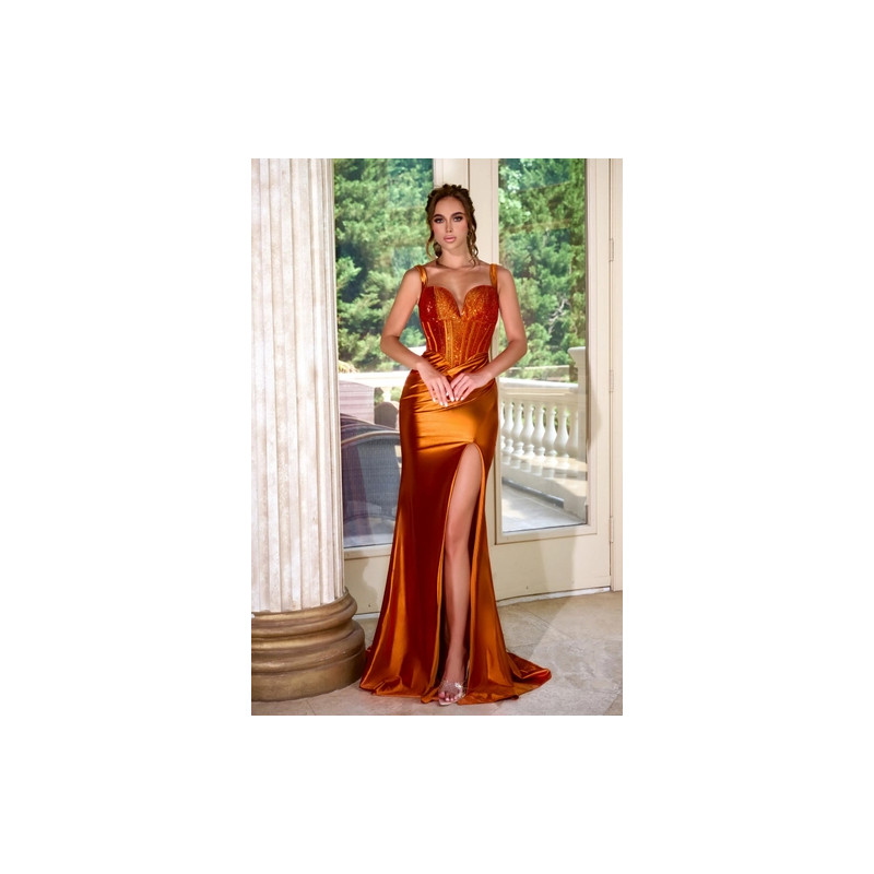 Portia and Scarlett Style PS24684
