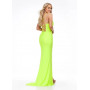 Ashley Lauren Style 11184