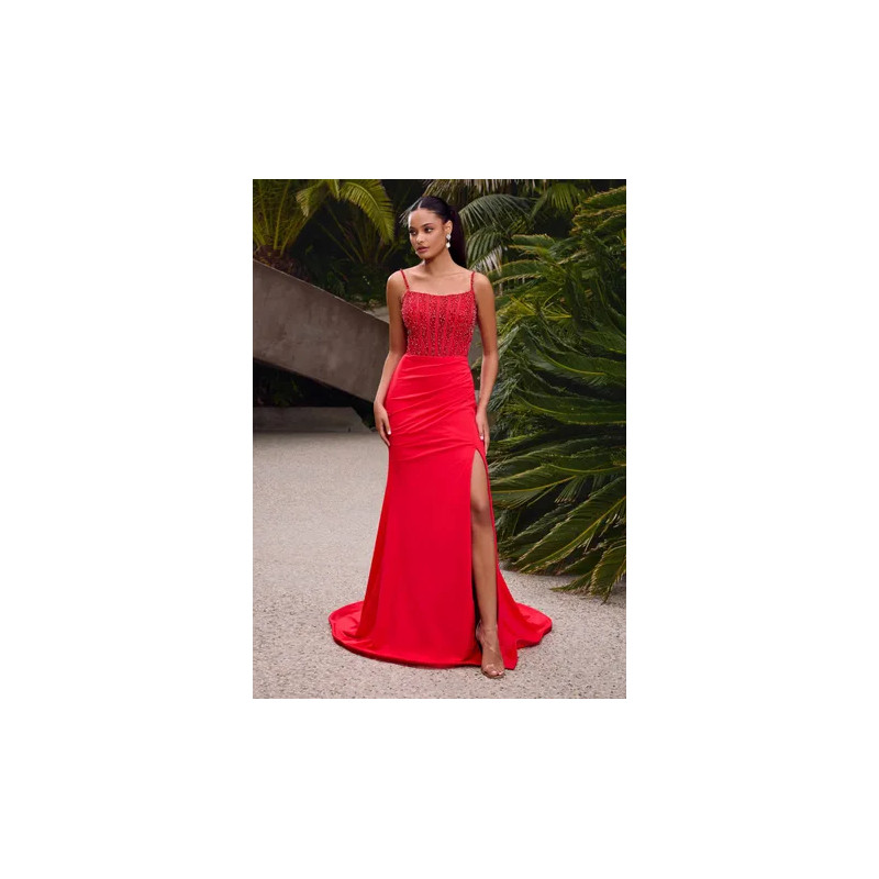 Ashley Lauren Style 11664