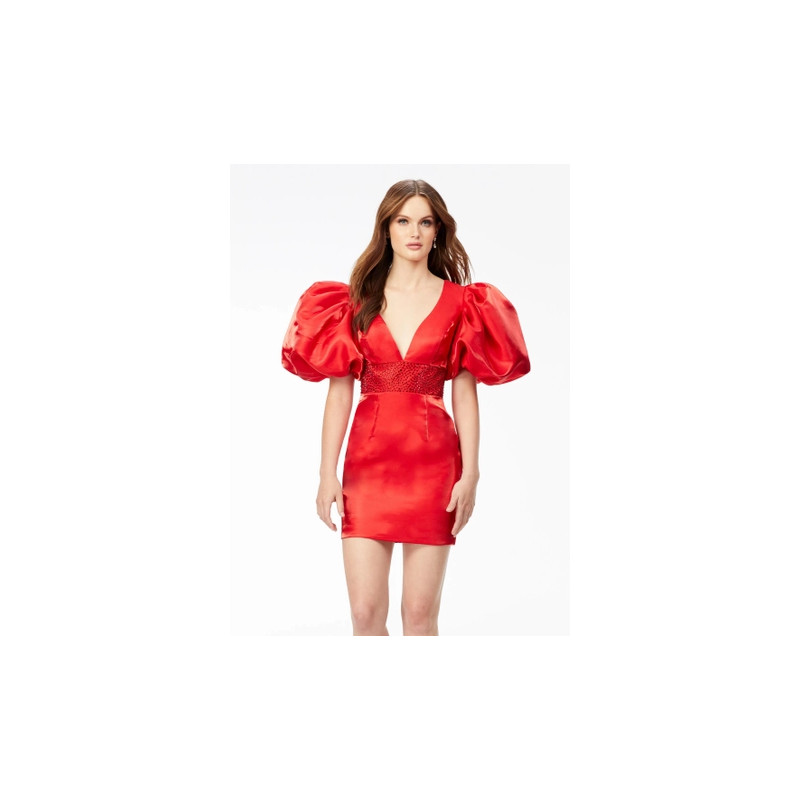 Ashley Lauren Style 4549