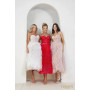 Terani Style 241P2022