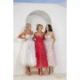 Terani Style 241P2022