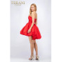 Terani Style 2021H3323