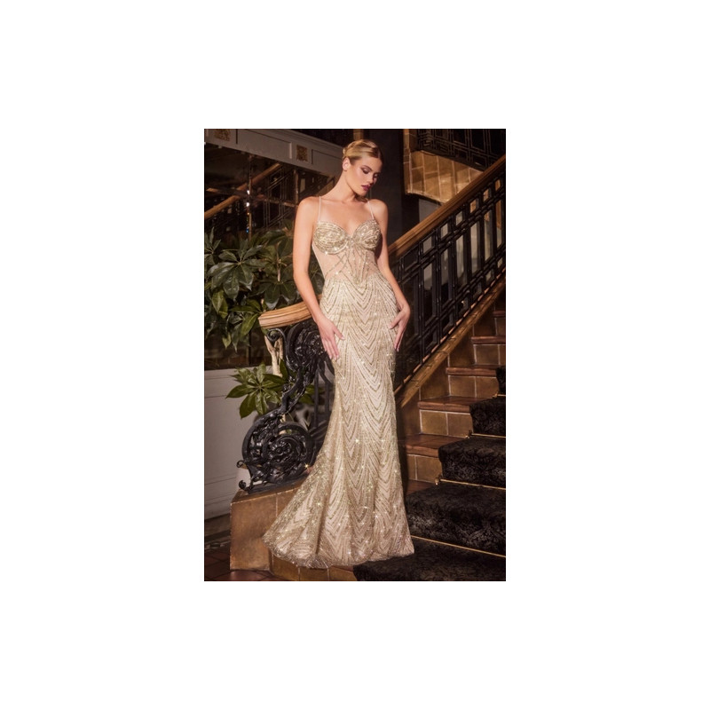 Ladivine by Cinderella Divine Style C163