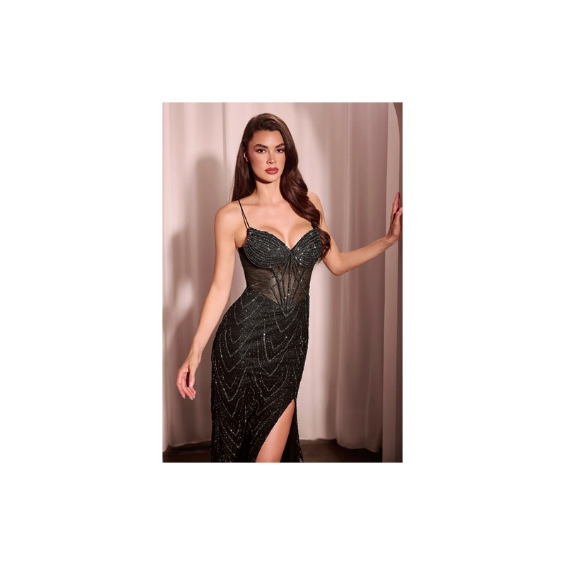 Ladivine by Cinderella Divine Style C163