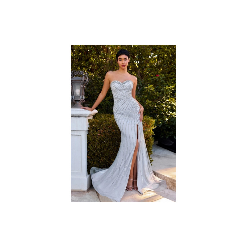 Ladivine by Cinderella Divine Style C166