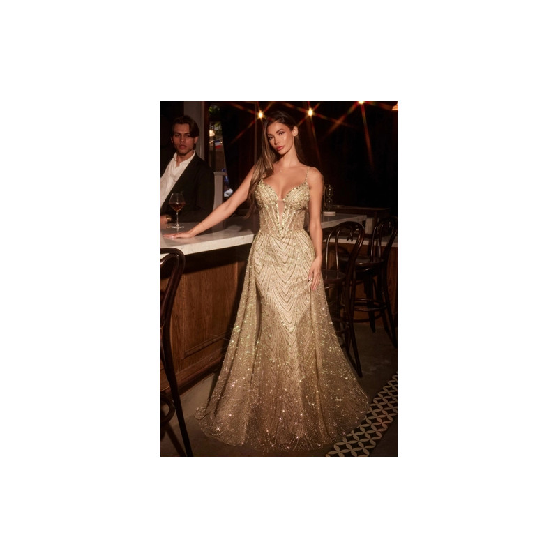 Ladivine by Cinderella Divine Style C167