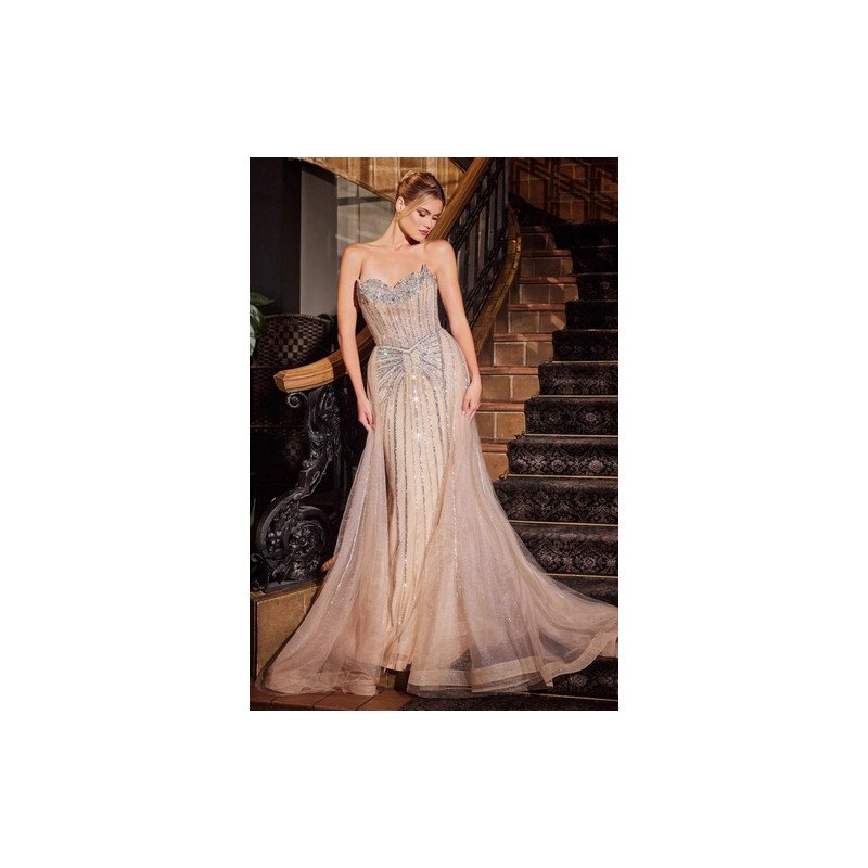 Ladivine by Cinderella Divine Style CB158