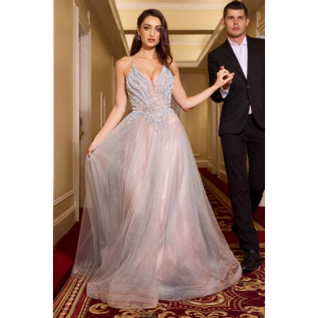Elegant Beaded Tulle Gown by Ladivine Size 0 Color Silver/Nude