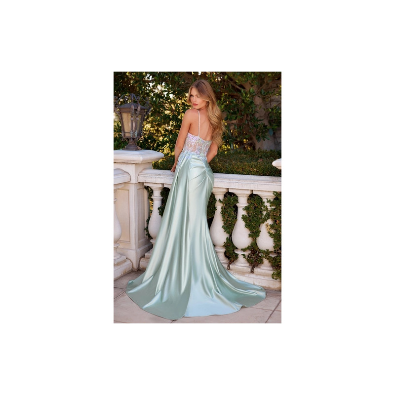 Ladivine by Cinderella Divine Style CD742