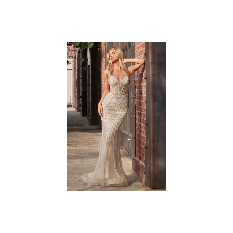 Ladivine by Cinderella Divine Style CD759