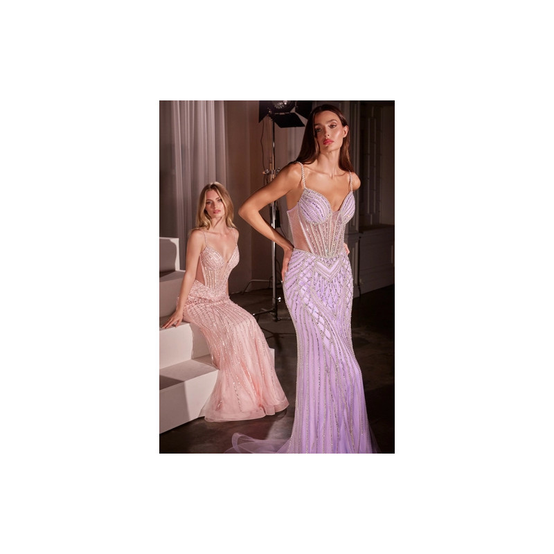 Ladivine by Cinderella Divine Style CD759