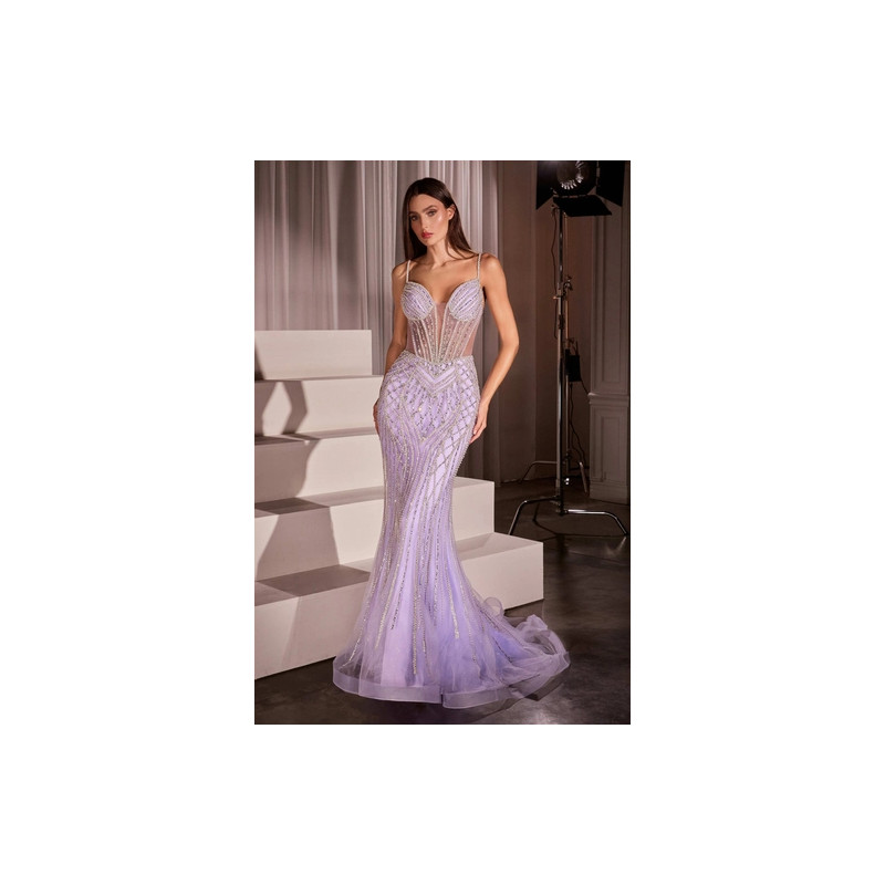 Ladivine by Cinderella Divine Style CD759