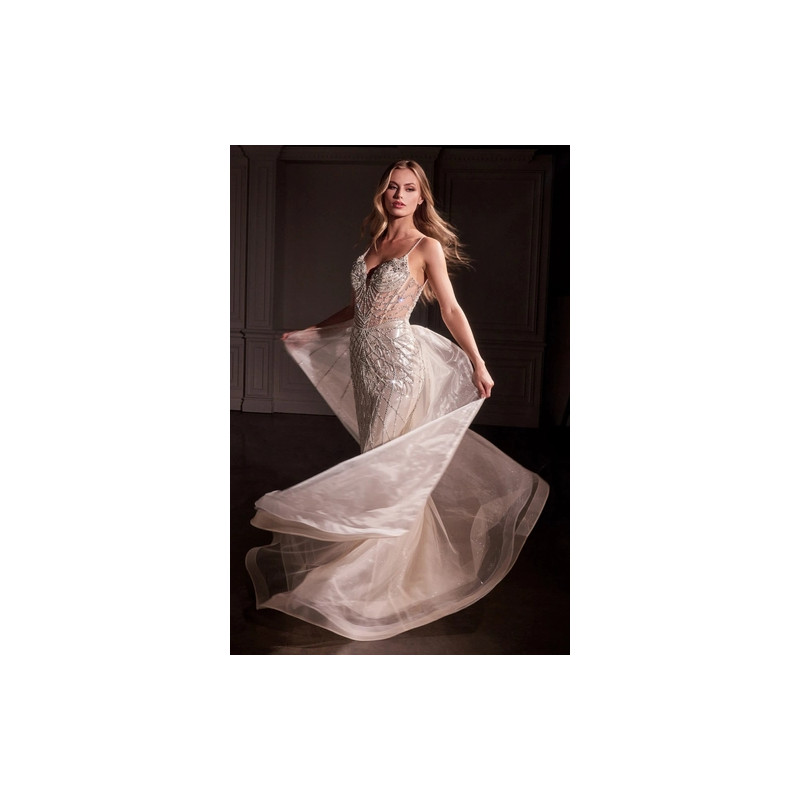Ladivine by Cinderella Divine Style CD763