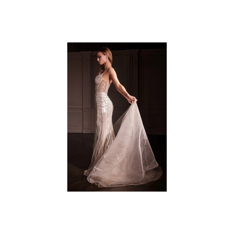 Ladivine by Cinderella Divine Style CD763