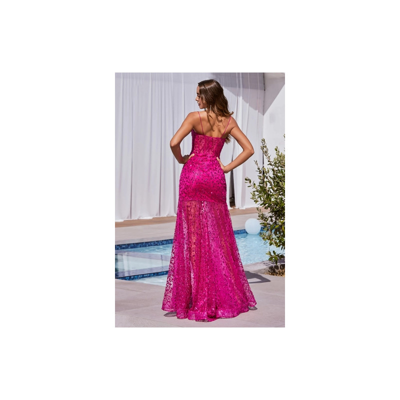 Ladivine by Cinderella Divine Style C155