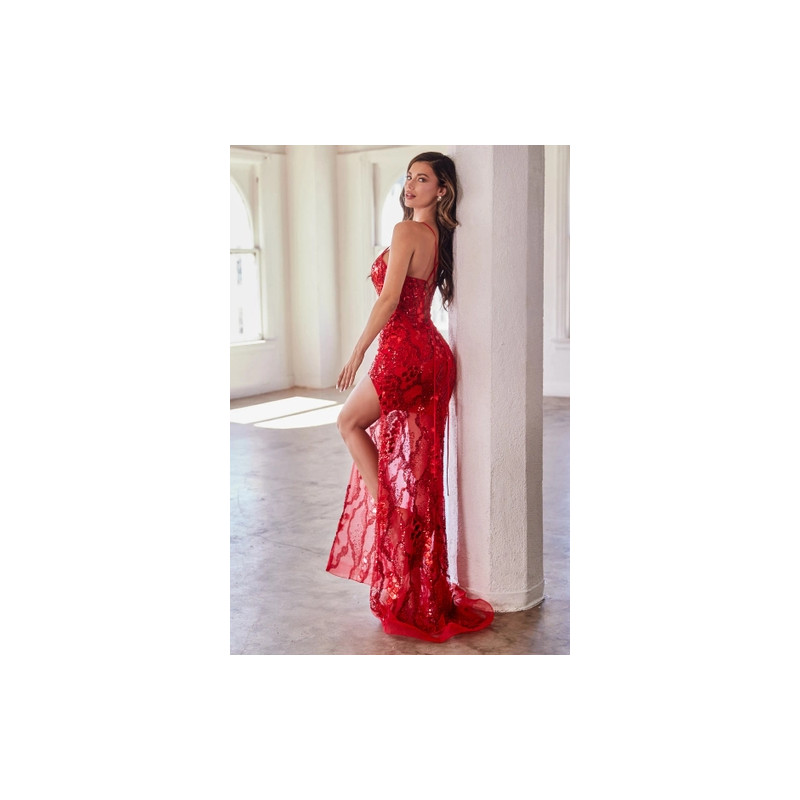 Ladivine by Cinderella Divine Style CC2292