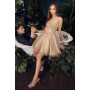 Ladivine by Cinderella Divine Style CD0212