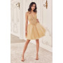 Ladivine by Cinderella Divine Style CD0236