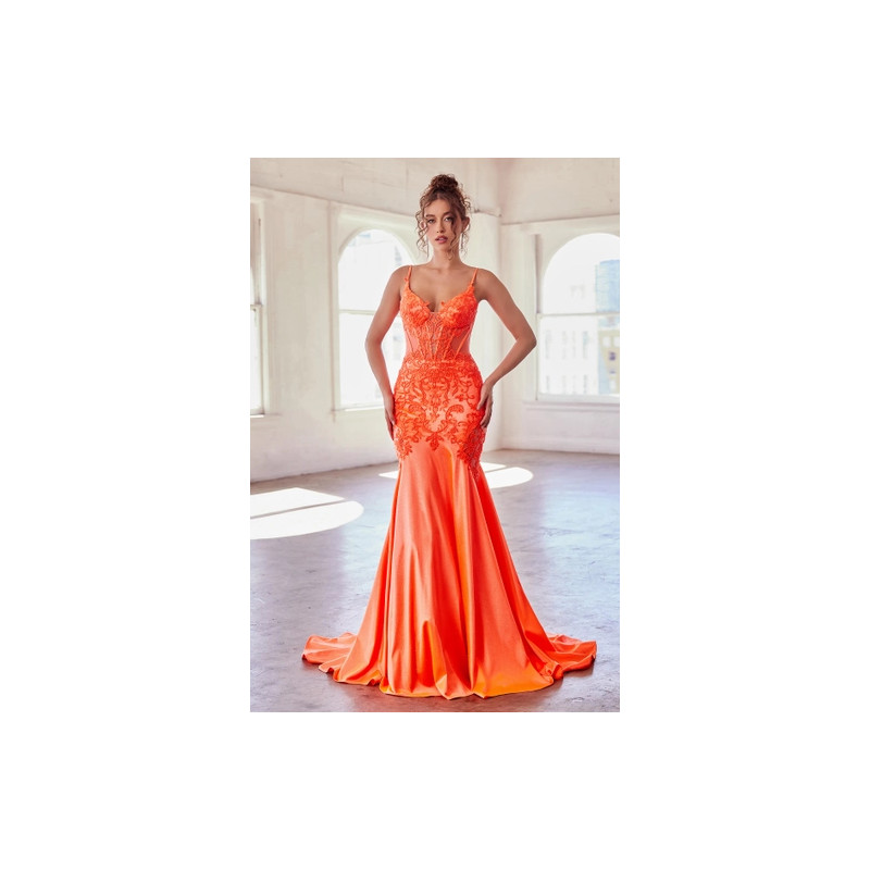 Ladivine by Cinderella Divine Style CDS470