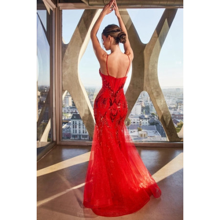 rehearsal dinner dress mother of the bride Rachel Allan RB8171 Long Beaded Lace Mother of the Bride Dress
