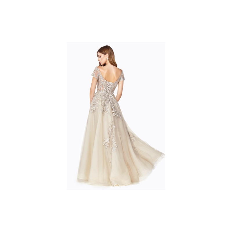 Ladivine by Cinderella Divine Style C20