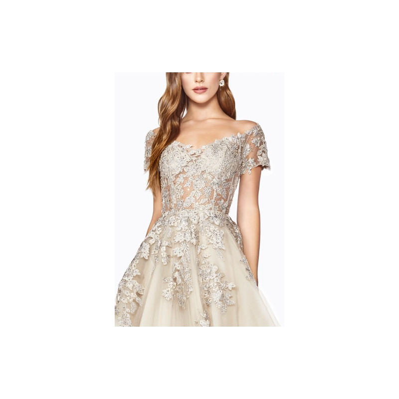 Ladivine by Cinderella Divine Style C20