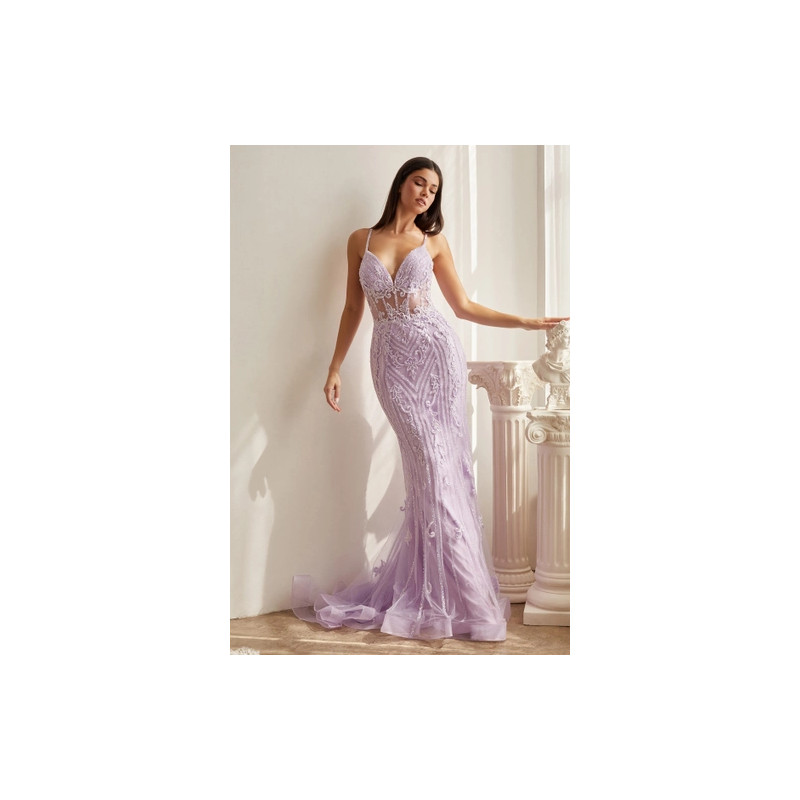 Ladivine by Cinderella Divine Style CD992