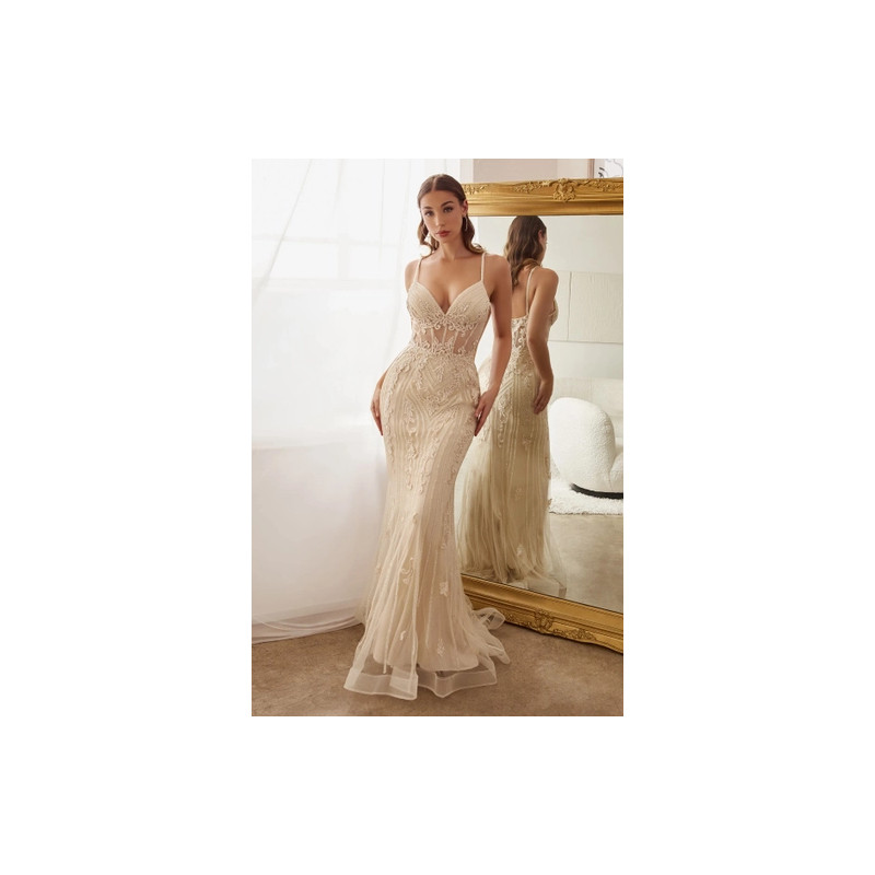 Ladivine by Cinderella Divine Style CD992