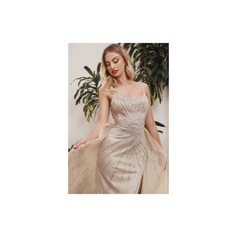 Ladivine by Cinderella Divine Style CD993