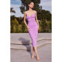 Ladivine by Cinderella Divine Style BD7027