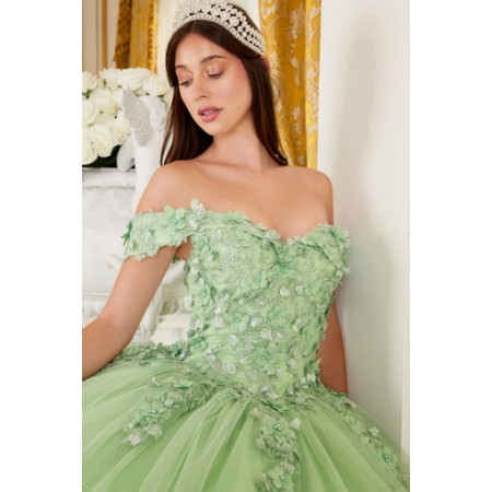 cinderella divine green dress Cinderella Divine BD104CL main image 0