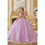 Ladivine by Cinderella Divine Style 15713