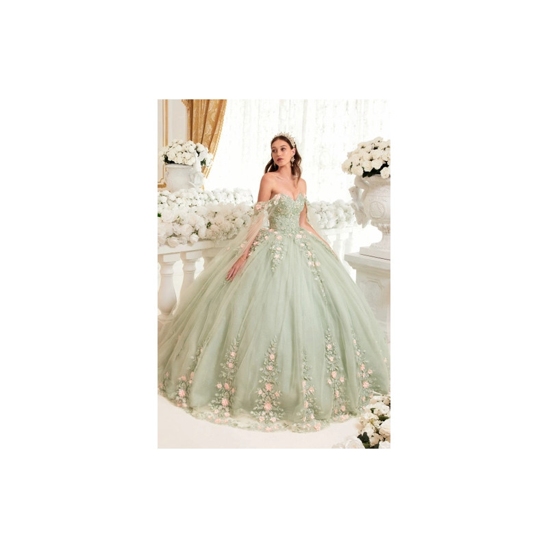 Ladivine by Cinderella Divine Style 15716