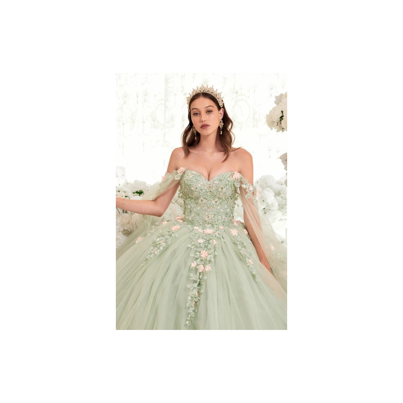 Ladivine by Cinderella Divine Style 15716