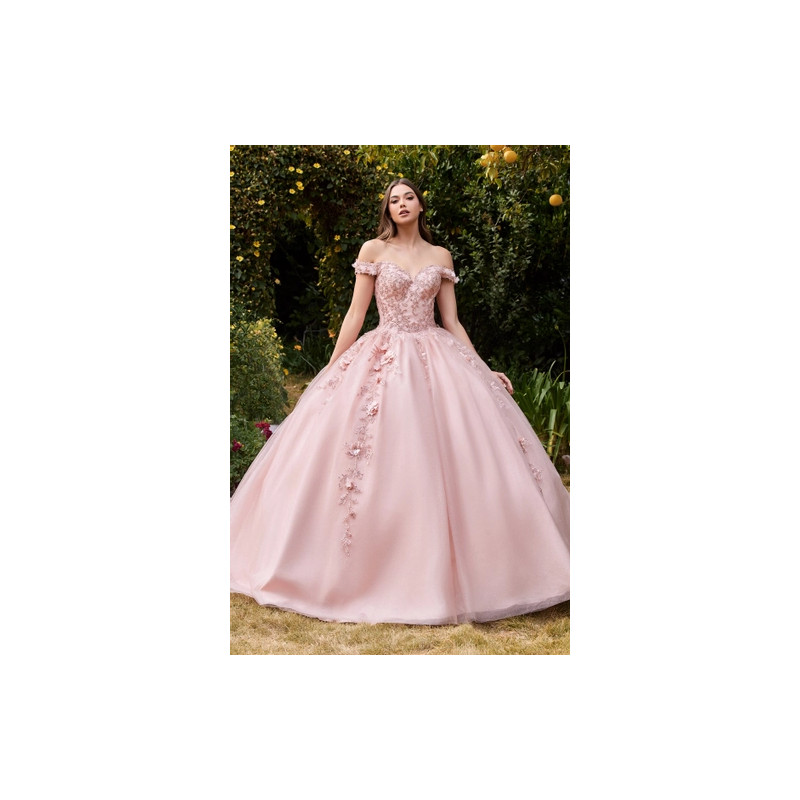 Ladivine by Cinderella Divine Style CD0185