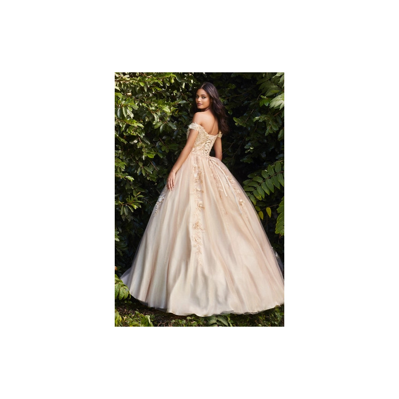 Ladivine by Cinderella Divine Style CD0185