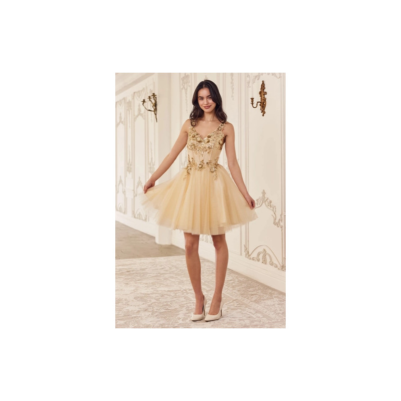 Ladivine by Cinderella Divine Style CY019