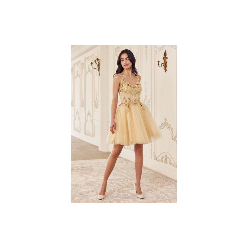 Ladivine by Cinderella Divine Style CY019