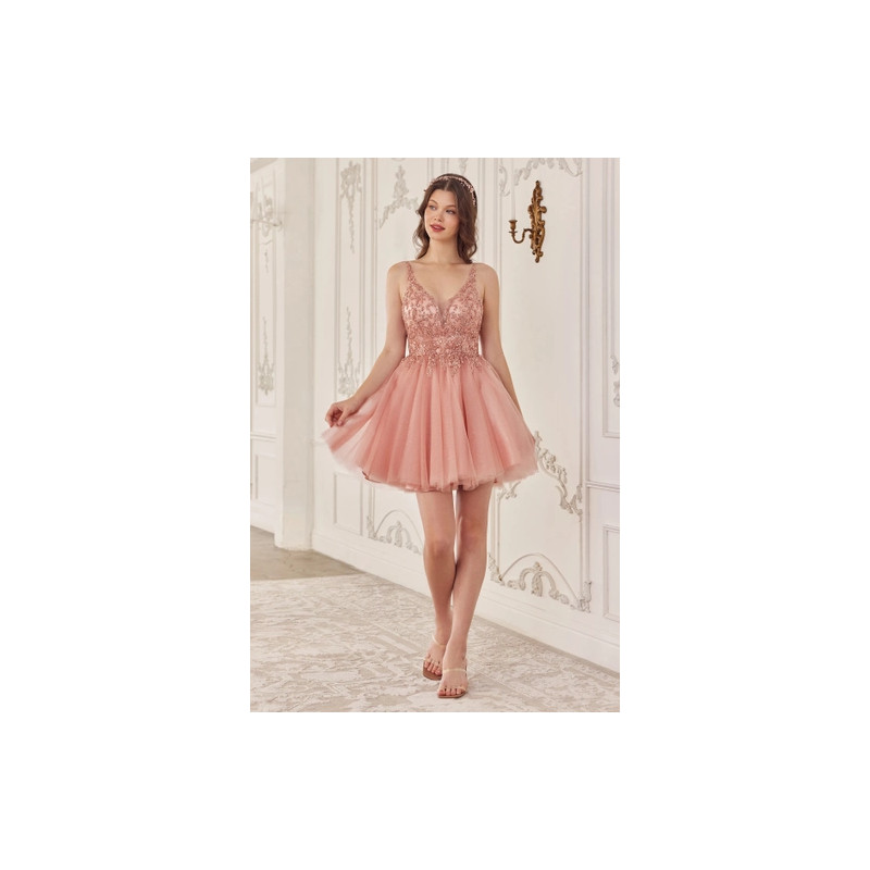 Ladivine by Cinderella Divine Style CY022