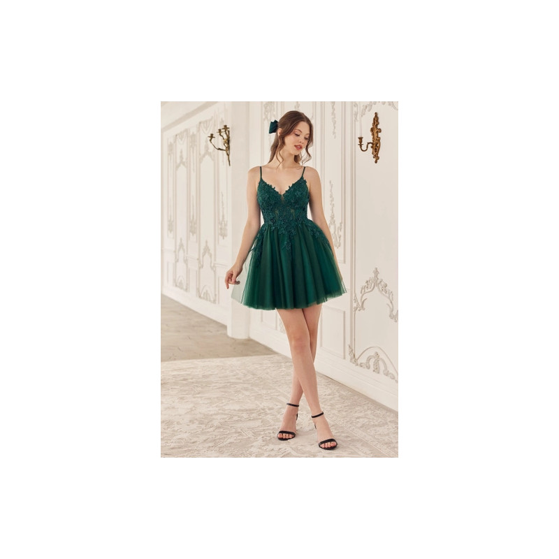 Ladivine by Cinderella Divine Style SF047
