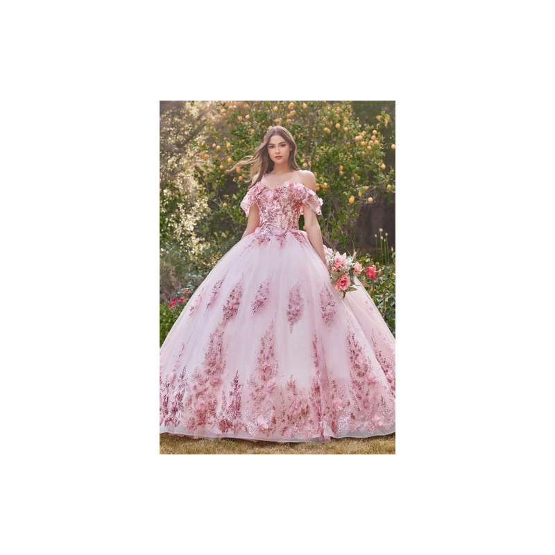 Ladivine by Cinderella Divine Style 15701