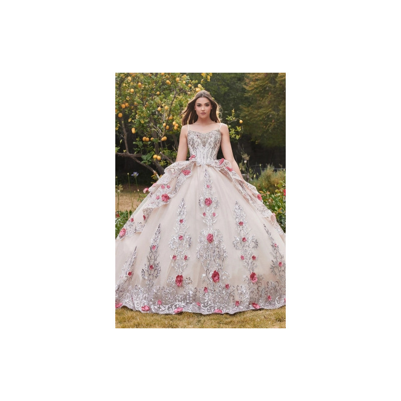 Ladivine by Cinderella Divine Style 15703