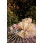 Andrea & Leo Couture Style A1430