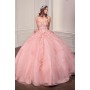 15726 by La Divine - This show-stopping ball gown captures a
