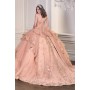 15727 by La Divine - This breathtaking ball gown captures the