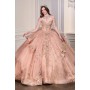 15727 by La Divine - This breathtaking ball gown captures the