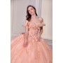 15731 by La Divine - This dreamy ball gown captures the
