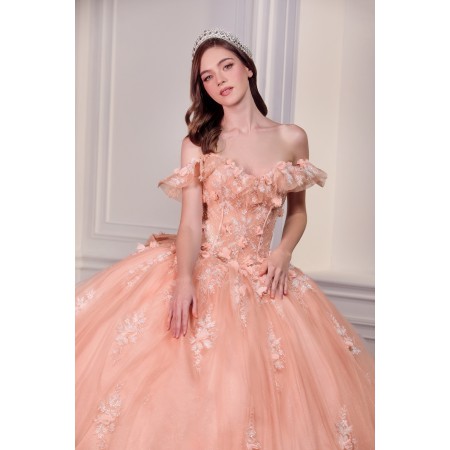 15731 by La Divine - This dreamy ball gown captures the