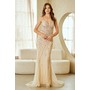 Amelia Couture 2135 Rhinestone V-Neck Tulle Formal Evening Gown